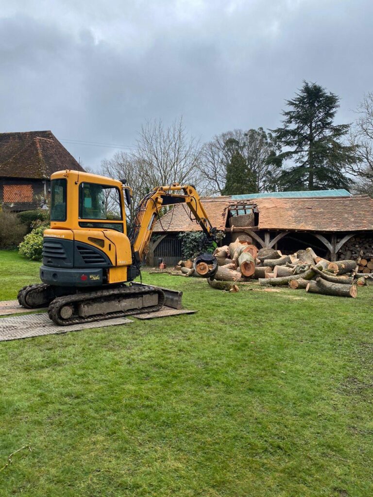 This is a photo of tree felling being carried out in Maidstone. All works are being undertaken by Maidstone Tree Care